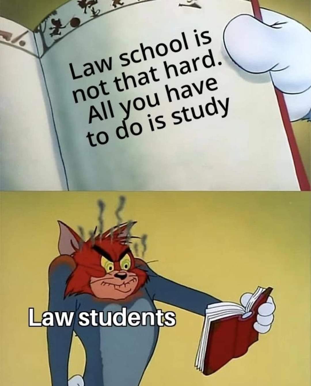 When they say law school is not "that hard"